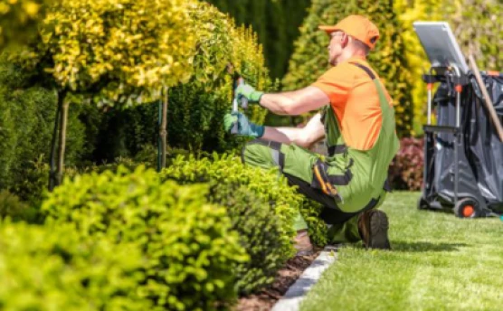 Working as a Gardener: complete guide to get started